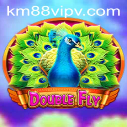 DoubleFly: The New Frontier in Gaming